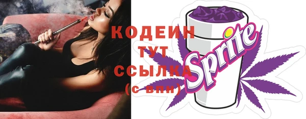 PSILOCYBIN Пересвет