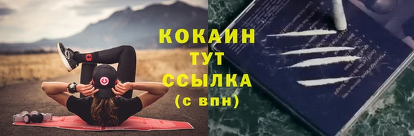 mdpv Пестово