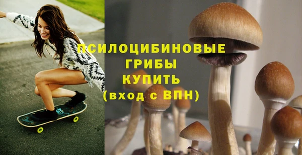 mdpv Пестово