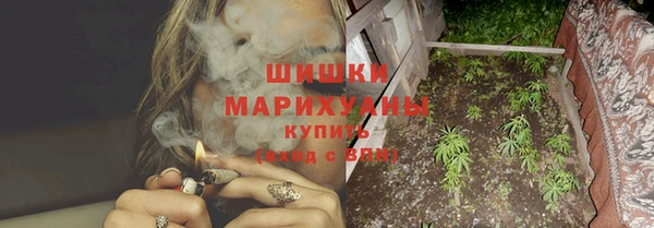 PSILOCYBIN Пересвет