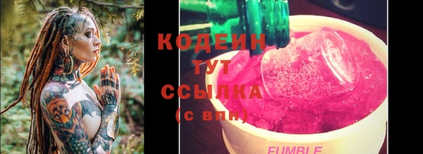 PSILOCYBIN Пересвет