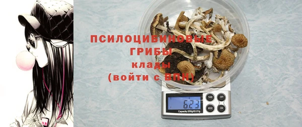 PSILOCYBIN Пересвет