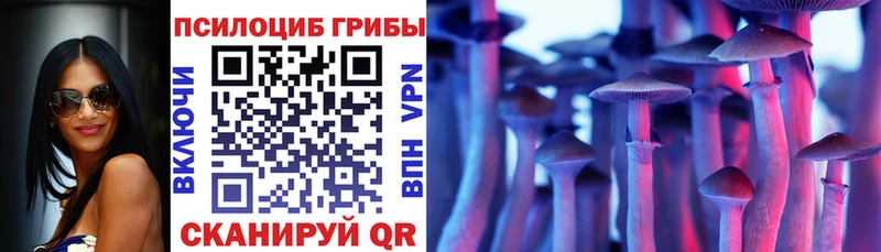 где купить   Сорск  Псилоцибиновые грибы Cubensis 